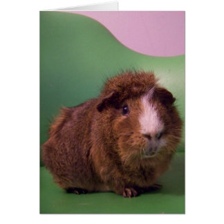 To a distinguished gentleman