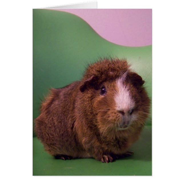 To a distinguished gentleman (Front)