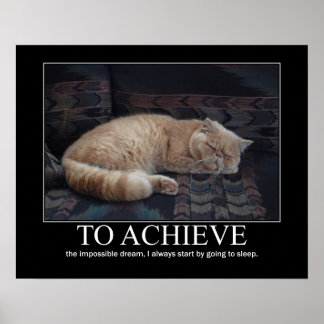 To Achieve the Impossible Dream Cat Artwork Poster