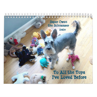 To All the Toys I've Loved Before Calendar