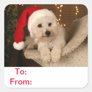 To and From Gift Tags Bichon Frise Dog Sticker