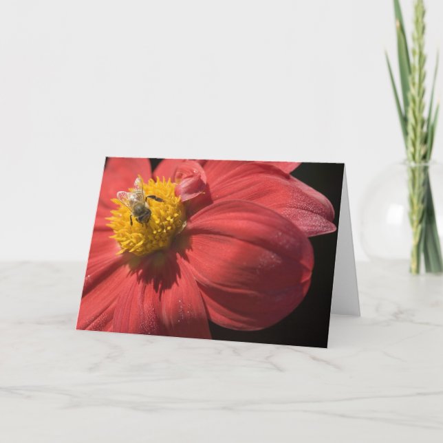 To bee or not to bee greeting card (Front)