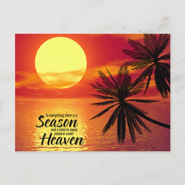 To Everything There Is A Season (Ecclesiastes 3:1) Postcard (Front)