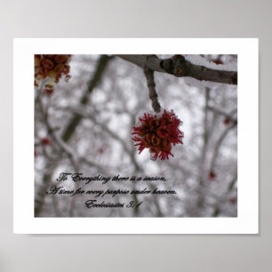 To Everything there is a Season Poster