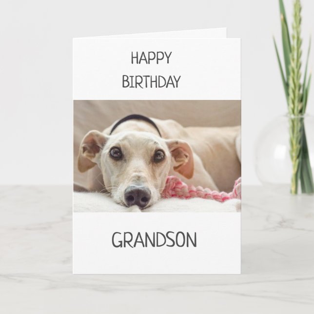 TO GRANDSON ON BIRTHDAY! CARD (Front)