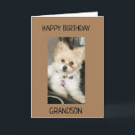 TO GRANDSON ON YOUR BIRTHDAY! CARD<br><div class="desc">THANK U FOR STOPPING BY ONE OF MY EIGHT STORES!!!!</div>