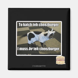 To katch teh cheezburger magnet