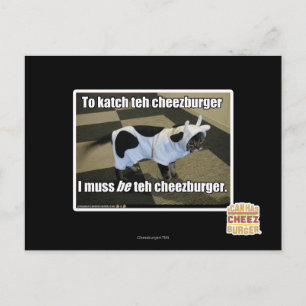 To katch teh cheezburger postcard