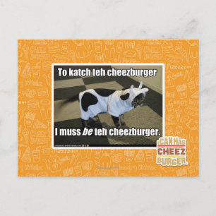 To katch teh cheezburger postcard