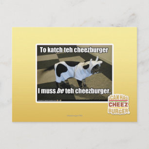 To katch teh cheezburger postcard