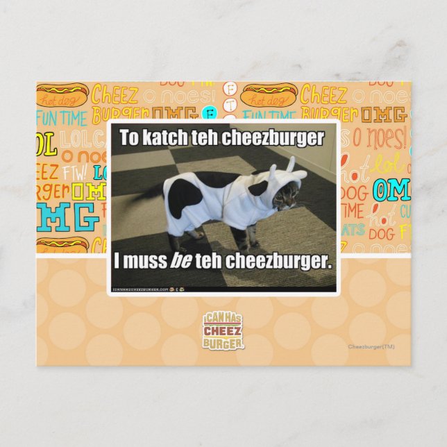 To katch teh cheezburger postcard (Front)