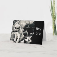 **TO MY COOL BRO" ON YOUR BIRTHDAY