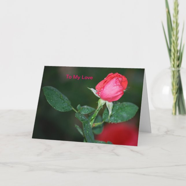 To my love holiday card (Front)