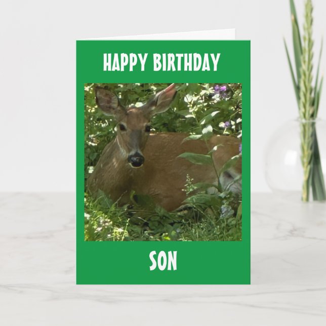 TO OUR OR MY SON ON YOUR BIRTHDAY! CARD (Front)
