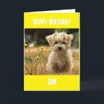 TO OUR OR MY SON ON YOUR BIRTHDAY! CARD<br><div class="desc">THANK U FOR STOPPING BY ONE OF MY EIGHT STORES!!!!</div>