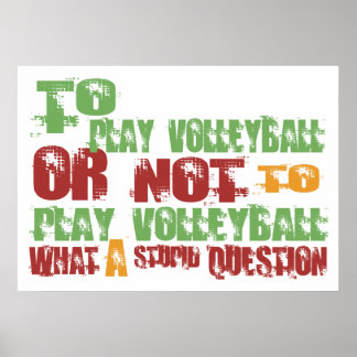 To Play Volleyball Poster