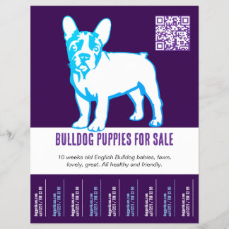 To sell Bulldog puppies Flyer