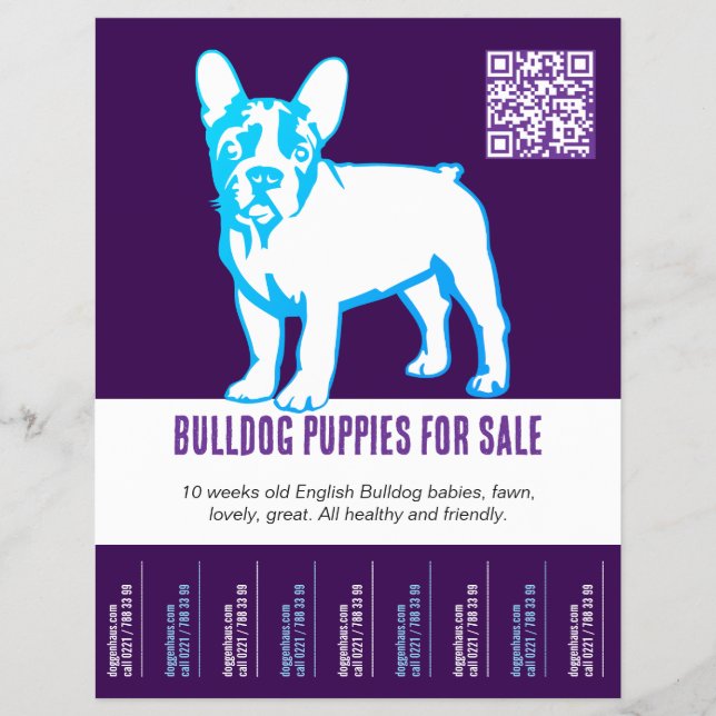 To sell Bulldog puppies Flyer (Front)