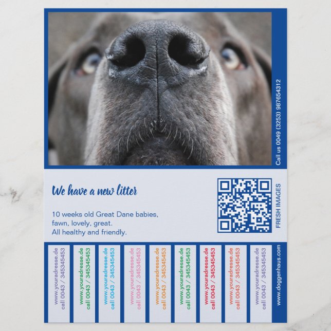 To sell Dane Puppies colorfull Custom Letterhead (Front)