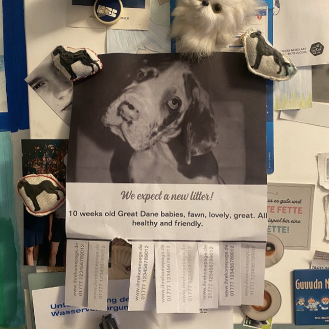 To sell Dane Puppies Flyer (Creator Uploaded)