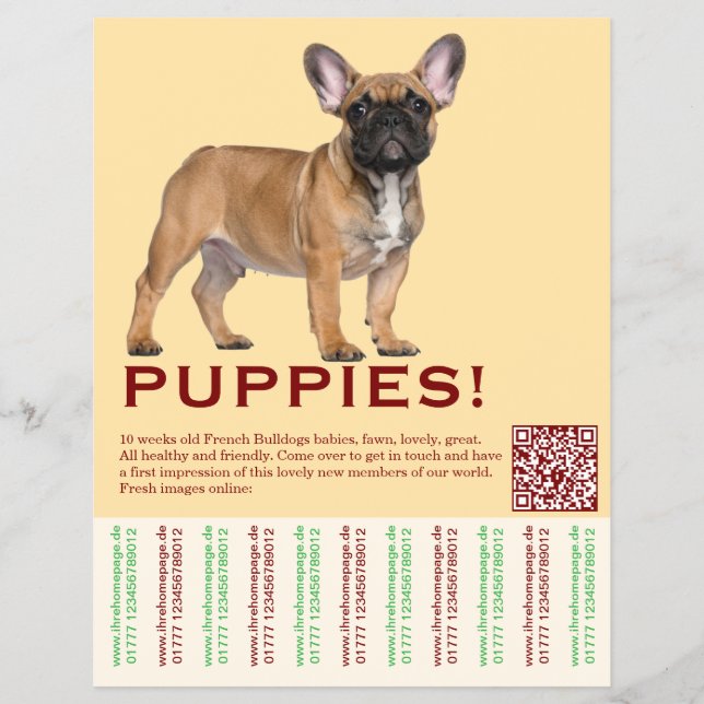 To sell Frenchies Puppy Flyer (Front)