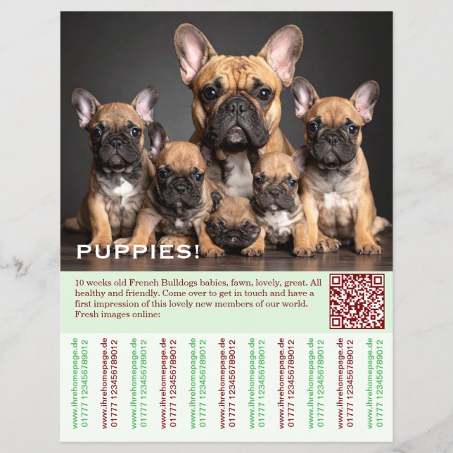 To sell Frenchies Puppy Flyer (Front)