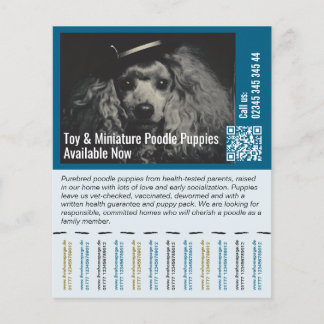 To sell Puppies Flyer