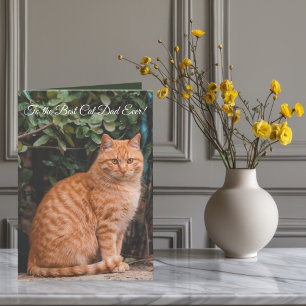 To the Best Cat Dad Ever Custom Photo & Text  Holiday Card