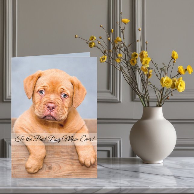 To the Best Dog Mum Ever Custom Photo & Text Holiday Card (Creator Uploaded)
