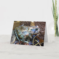 Toad, card