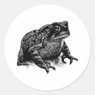 Toad Classic Round Sticker