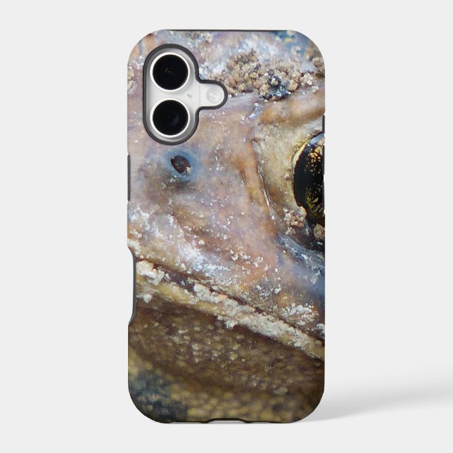 Toad face (Back)