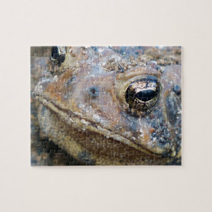 Toad face jigsaw puzzle