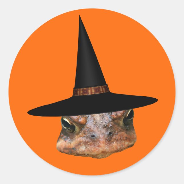 Toad Face Witch Hat Halloween Funny  Classic Round Sticker (Front)