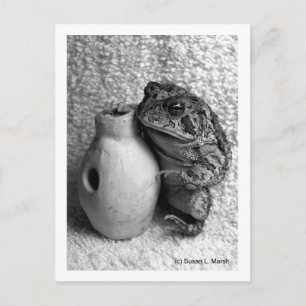 Toad frog holding udu percussion photograph postcard