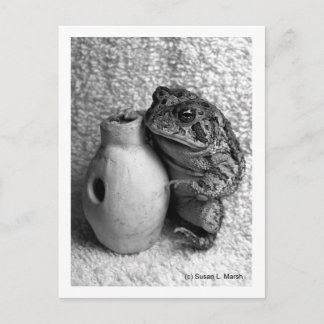 Toad frog holding udu percussion photograph postcard