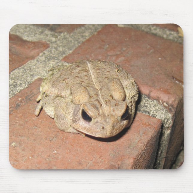 Toad Frog Mouse Pad (Front)