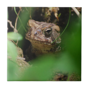 Toad In a Hole tile