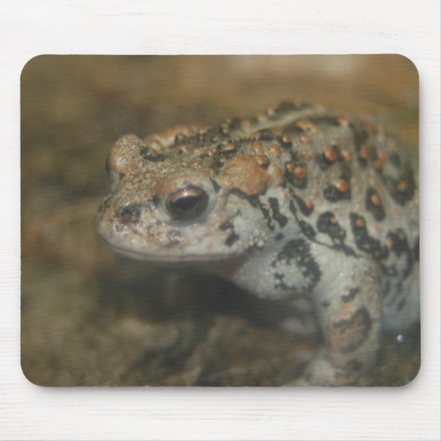 Toad Mousepad (Front)