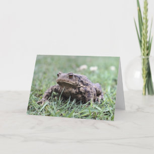 Toad notecard