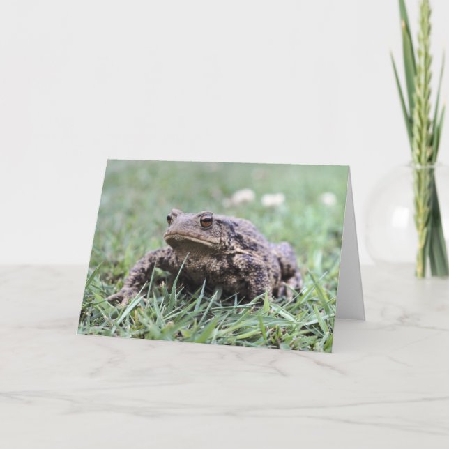 Toad notecard (Front)