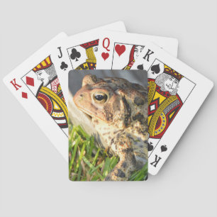 Toad Playing Cards