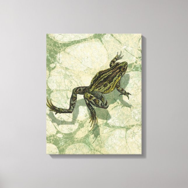 Toad Swinning in the Water Canvas Print (Front)