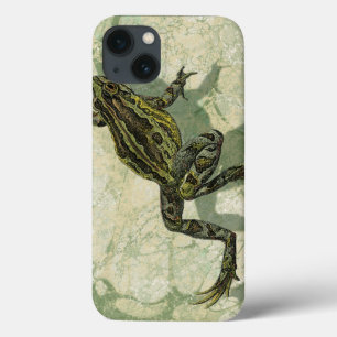 Toad Swinning in the Water iPhone 13 Case