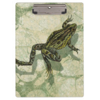 Toad Swinning in the Water