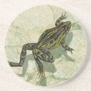 Toad Swinning in the Water Coaster