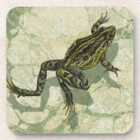 Toad Swinning in the Water