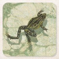 Toad Swinning in the Water