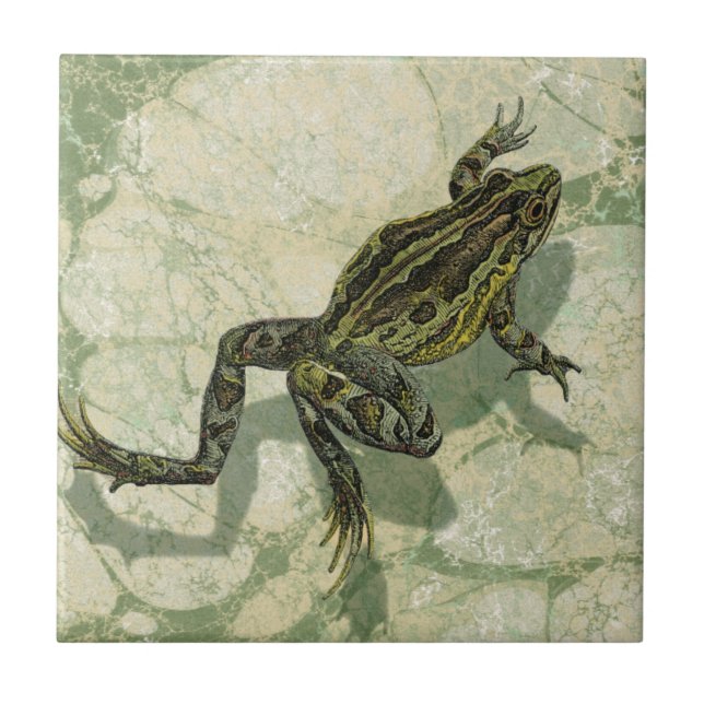 Toad Swinning in the Water Tile (Front)