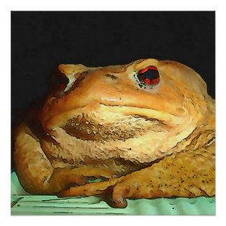 Toad With Philosophical Disposition Painting Poster